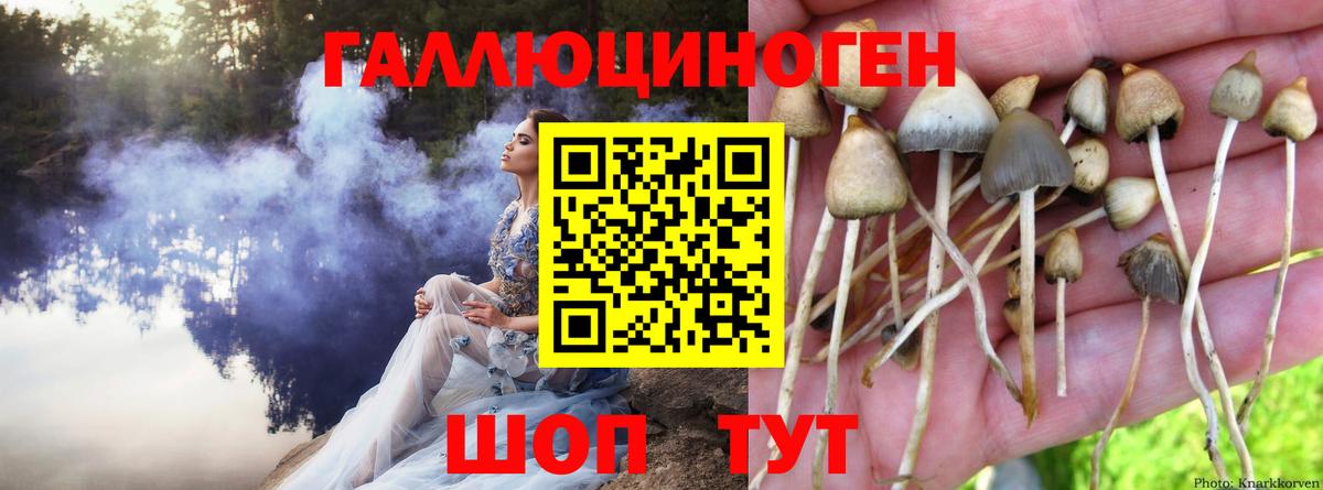 Галлюциногенные грибы Magic Shrooms  Вход с VPN  Можга 